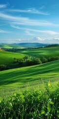 Canvas Print - Green rolling hills under blue sky