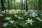Lilies of the valley in the forest