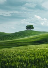 Wall Mural - Picturesque green hills under the cloudy sky