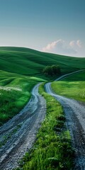 Wall Mural - Scenic view of a rural road through green hills