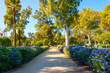 Autumn afternoon at the urban Maria Luisa Park in downtown Seville, Spain.
