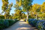 Fototapeta Uliczki - Autumn afternoon at the urban Maria Luisa Park in downtown Seville, Spain.