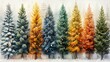Bunch of winter coniferous forest Christmas trees with baubles arranged on a white background. Colored holiday illustration.