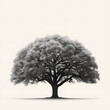 solitary tree with a lush, dense canopy in a monochromatic setting