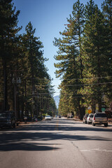 Scenic two lane road through forested area with no passing zone in Tahoe, California. Yellow road sign warns of left curve. Pine trees, mountains, clear sky. 