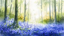A Lovely Watercolor Painting Of Bluebells Carpeting A Forest Floor, So Magical And Engaging, Minimal Watercolor Style Illustration Isolated On White Background