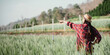 © Satori Studio - Farmer in a straw hat and plaid shirt gesturing to a lush green field, inspecting the crops on a sunny day.