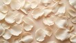 © horizon - Abstract flower petals in pastel beige embodies beauty and calm. On the beige background, a pattern emerges as white rose petals are scattered, creating an atmosphere that is both elegant and softly.