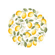 Lemon wreath illustration. hand-drawn citrus.