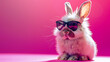 A cute funny bunny wearing sunglasses, chilling on a vibrant pink background