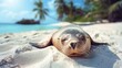 A seal lounging on a sandy beach, its whiskers twitching as it rests against a backdrop of swaying palm trees.