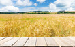 Empty wooden table and field of barley in  summer day