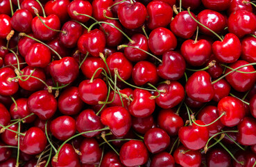 Canvas Print - fresh cherry as background, top view