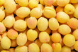 fresh apricots as background, top view