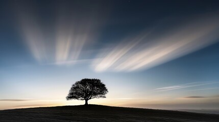 Wall Mural - Silhouette of a lone tree against a twilight sky, casting a striking white and black shadow on the ground, evoking a sense of solitude and serenity.