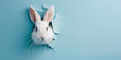 A rabbit is peeking out of a hole in a blue background.
