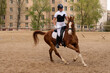 Rider on trotting horse in urban sand arena