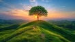 © sorapop - panoramic view, solitary tree at sunrise, embodiment of Earth Day, hopeful, symbol of a greener world, AI Generative