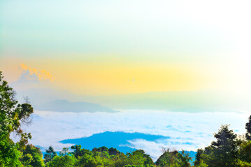 Wall Mural - Sea of ​​fog at Huai Nam Dang National Park