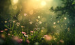 beautiful tender flowers in summer on a meadow with sunshine and bokeh hearts