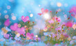 pink flowers in summer on a meadow with sunshine and bokeh hearts
