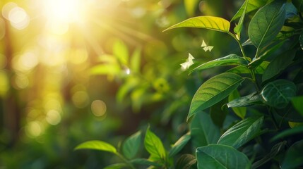 Wall Mural - Blurred abstract green leaves and trees in the forest with summer sunlight in spring. Sunlight on the green leafy herbs in the ecosystem