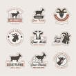 Dairy labels. Goat milk products stylized badges for food containers recent vector logos for natural eco products