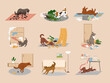 Mess dogs. Domestic animals with behavior interior destroying home furniture recent vector pets making mess