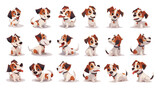 Fototapeta Pokój dzieciecy - Cartoon Adorable Dog Characters. Cute funny puppy in Diverse and Playful Poses colour illustration