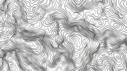 A mesmerizing array of black and white topographic lines