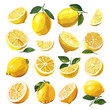 Cartoon Fresh Lemon Collection. Whole, Halved, and Sliced Lemons. Design Elements of Various Lemons on White Background