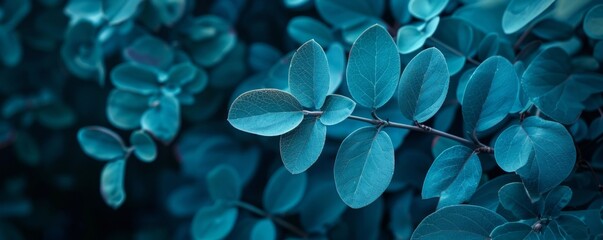 Wall Mural - blue plant leaves in the nature in fall season, blue background