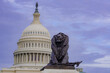 Washington DC, Capitol Building, Supreme Court, Washington monument, national mall. United States Capitol building icon in Washington DC.
