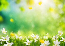Abstract Background Evoking Spring Or Summer Freshness