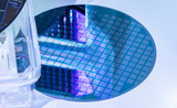 Fototapeta Sawanna - silicon wafer semiconductor with neon color, integrated circuits to manufacture CPU and GPU