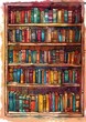 Colorful Bookshelf Illustration with Assorted Books in Library Setting