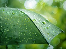 The Translucent Quality Of Raindrops On The Umbrella Dome, With A Soft Spring Green Background Glowing In The Sunlight 8K , High-resolution, Ultra HD,up32K HD