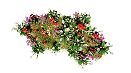 Wall Mural - top view of 3d render various types of flowers grass bushes shrub and small plants on transparent ba