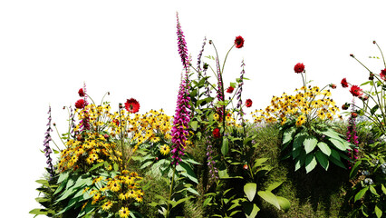 Wall Mural - 3d render various types of flowers grass bushes shrub and small plants on transparent background