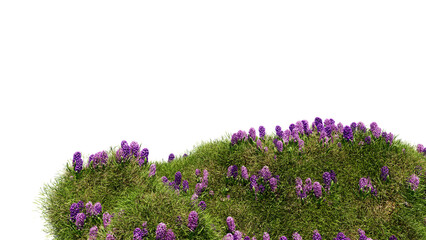 Wall Mural - 3d render various types of flowers grass bushes shrub and small plants on transparent background