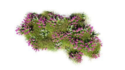 Wall Mural - top view of 3d render various types of flowers grass bushes shrub and small plants on transparent ba