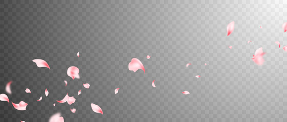 Wall Mural - Beautiful fluttering flower petals background vector illustration