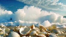 A Collection Of Various Seashells Scattered On A Sandy Beach, As A Wave Rolls In Towards The Shore, Waves Crashing On A Sandy Beach Filled With Seashells