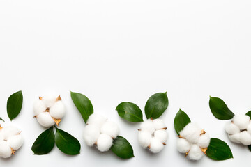 Wall Mural - autumn floral flat lay background composition. dried white fluffy cotton flower branchwith green lea