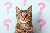 Fototapeta Motyle - A cat is staring at a wall with pink question marks. The cat's eyes are open and it is curious about the questions. The pink background adds a playful and whimsical touch to the image