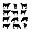 collection of black cow silhouettes showcasing different cow behaviors