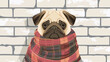 Cute pug dog with warm plaid near white brick wall vector