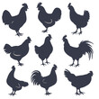 A collection of farm fowl silhouettes including chickens and roosters