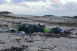 Beach Scattered with Rubbish and Trash