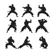 Silhouettes of individuals showcasing different martial arts techniques